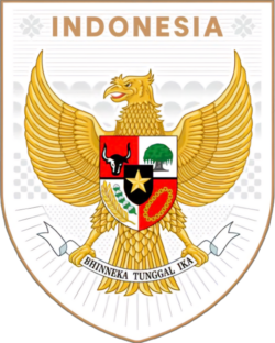 Indonesia National Team logo